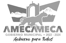Logo veda electoral
