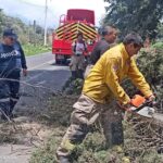 COMUNICADO DE PRENSA 026/2024