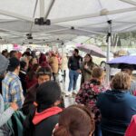 COMUNICADO DE PRENSA 164/2025