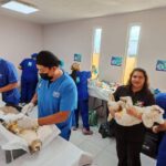 COMUNICADO DE PRENSA 252/2025