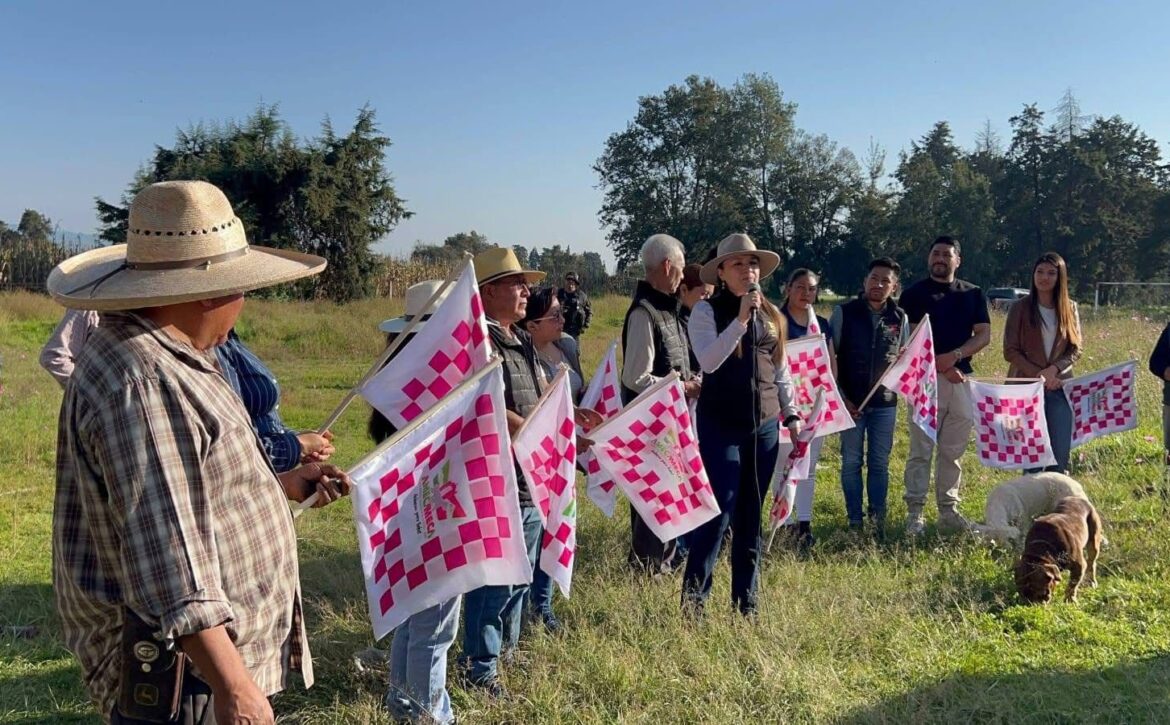 Imagen de WhatsApp 2025-10-31 a las 13.01.54_cdc168d7