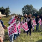 COMUNICADO DE PRENSA 259/2025