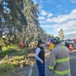 COMUNICADO DE PRENSA 273/2025