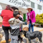 COMUNICADO DE PRENSA 287/2025