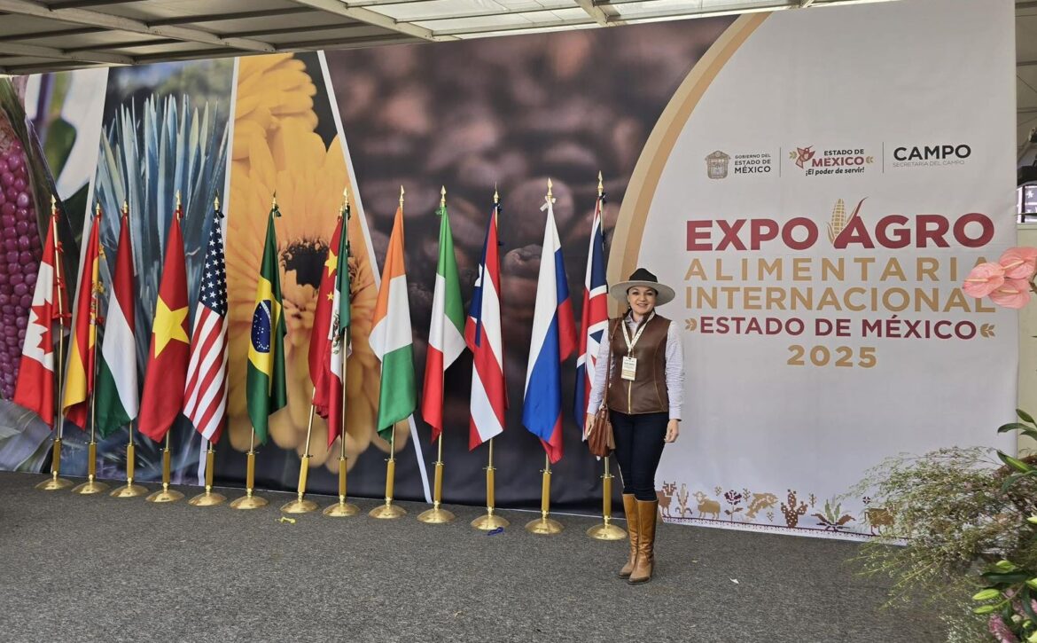 Imagen de WhatsApp 2025-12-04 a las 16.43.15_0bf11e8e