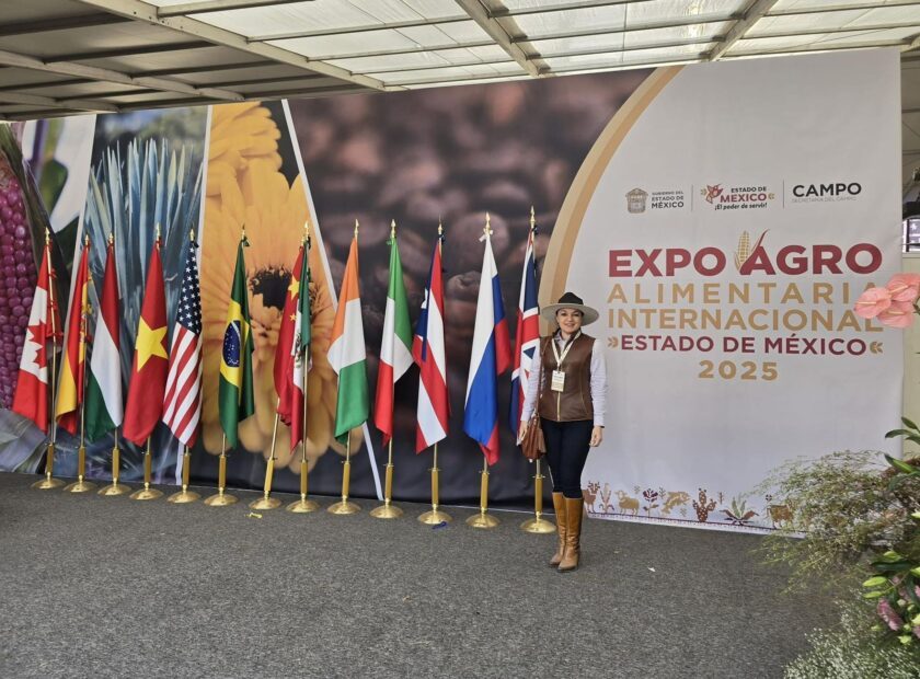 Imagen de WhatsApp 2025-12-04 a las 16.43.15_0bf11e8e