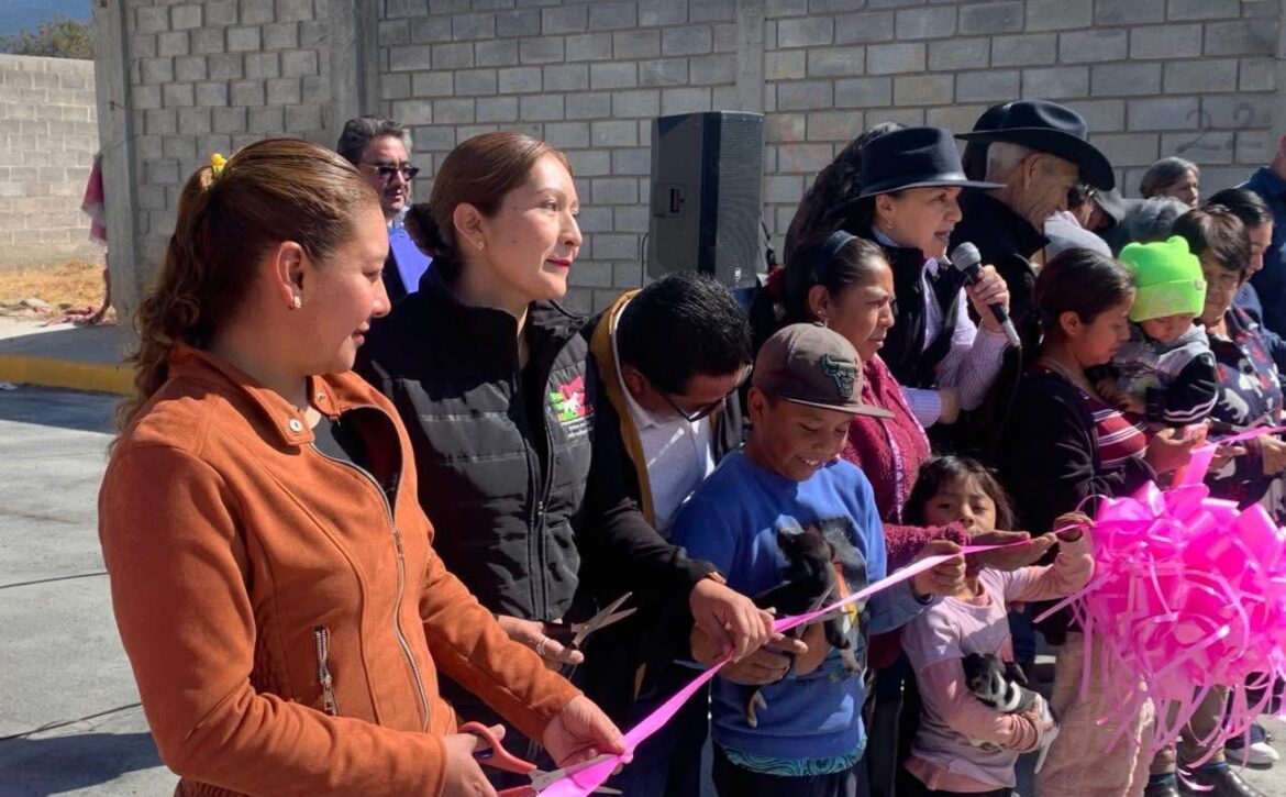 WhatsApp Image 2026-01-23 at 3.00.52 PM (4)