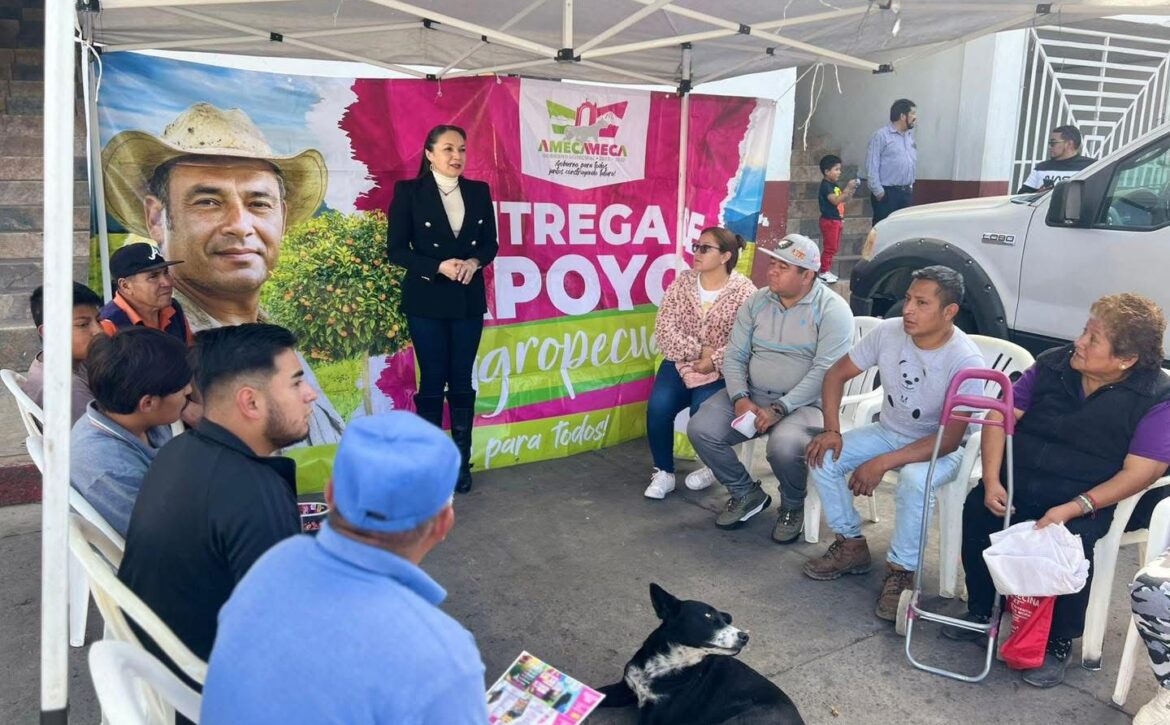 WhatsApp Image 2026-01-23 at 3.52.04 PM (2)