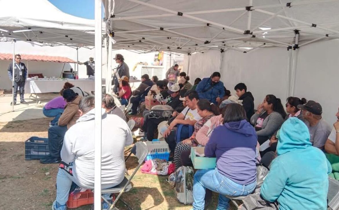 WhatsApp Image 2026-03-03 at 11.20.39 AM (2)