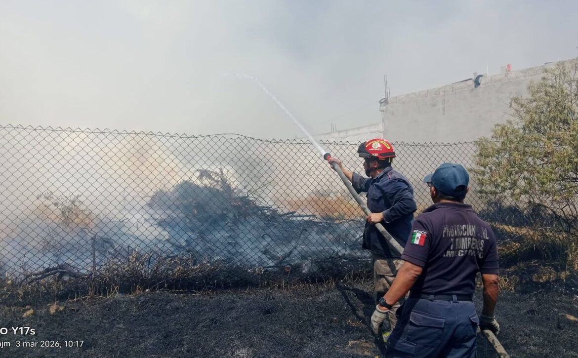 WhatsApp Image 2026-03-04 at 3.54.17 PM