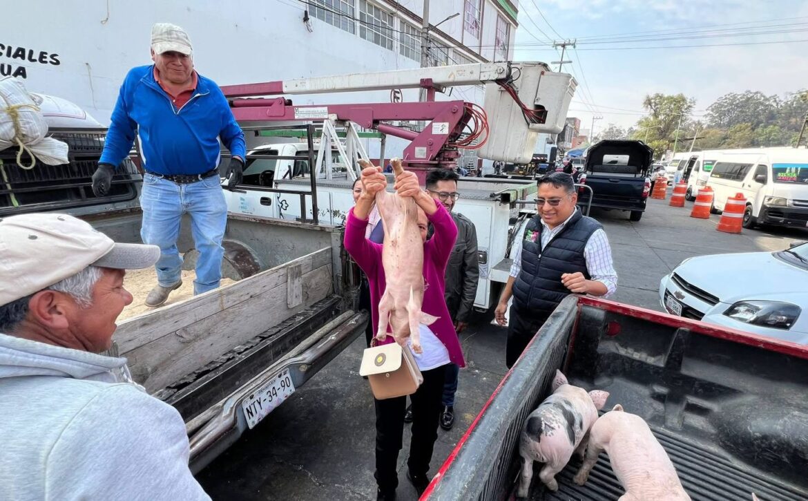 WhatsApp Image 2026-03-12 at 2.33.33 PM