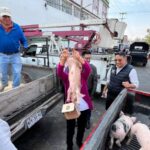 IMPULSA DRA. IVETTE TOPETE ECONOMÍA FAMILIAR CON ENTREGA DE LECHONES A PRODUCTORES DE AMECAMECA