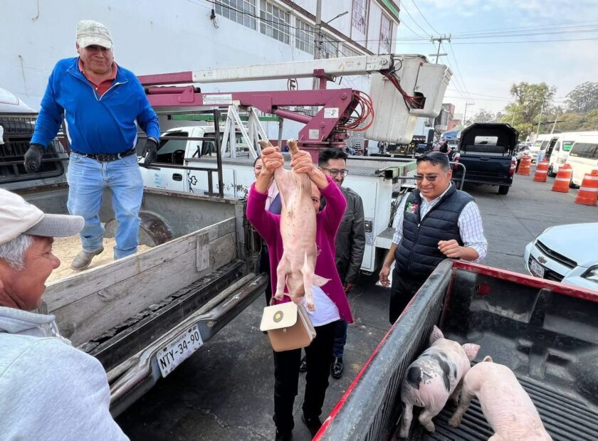 WhatsApp Image 2026-03-12 at 2.33.33 PM