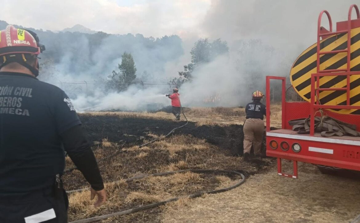 WhatsApp Image 2026-03-12 at 7.53.23 PM