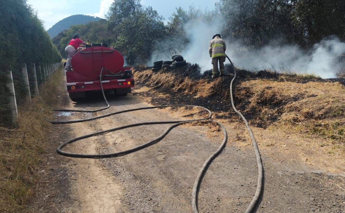 WhatsApp Image 2026-04-09 at 4.34.45 PM