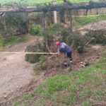 🚧🌳 ACCIONES RAPIDAS EN AMECAMECA !!!